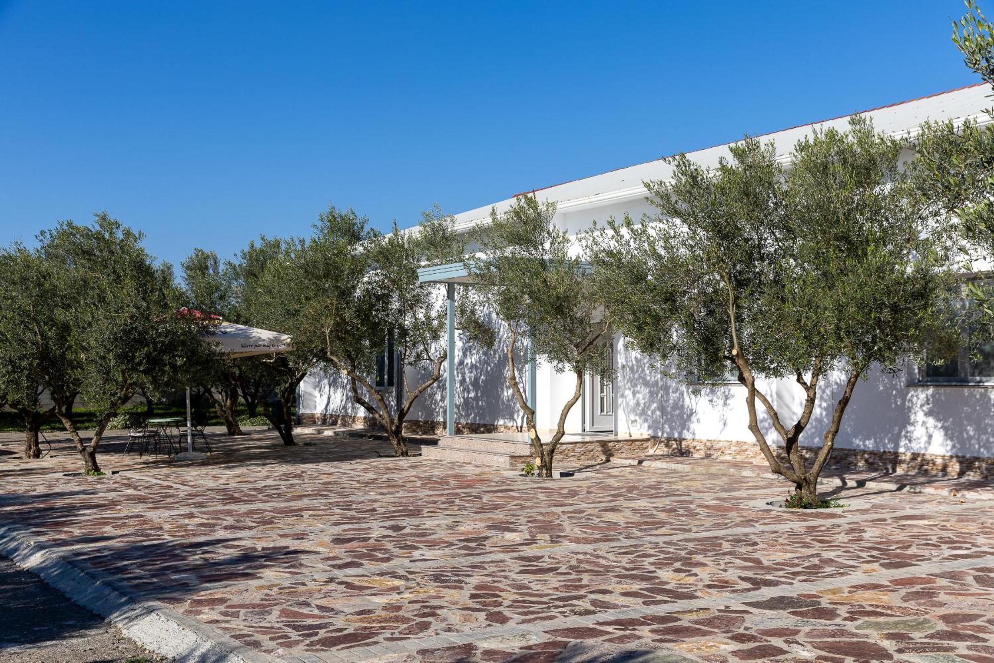 Hotel Paradise شكودر المظهر الخارجي الصورة